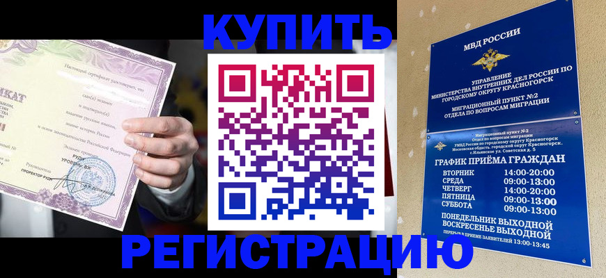 временная регистрация собственник в Новозыбкове
